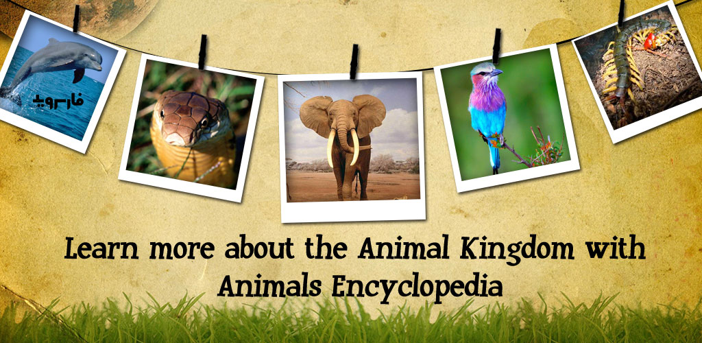 Animal Encyclopedia Complete Reference Guide Free
