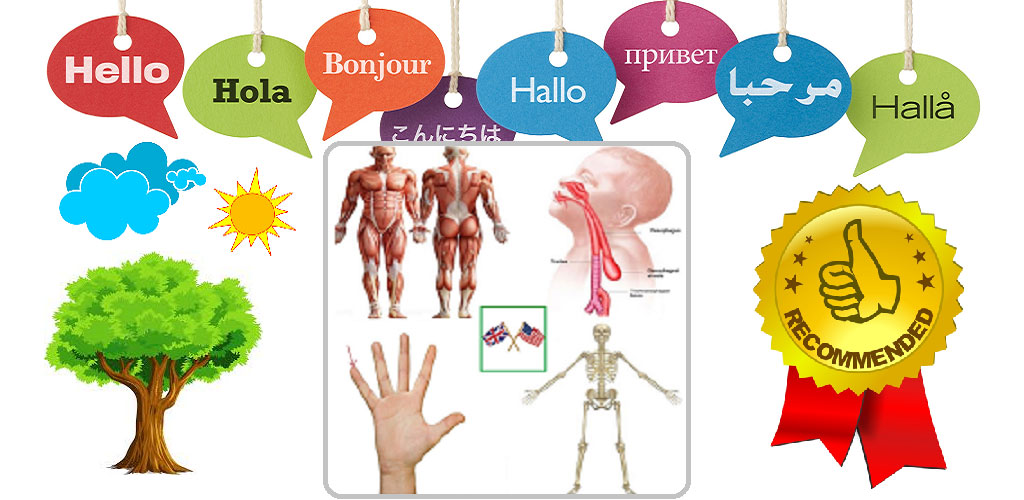 Body Parts Name and Pictures