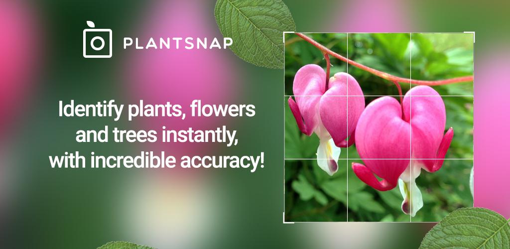 PlantSnap - Identify Plants, Flowers, Trees Pro