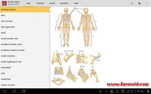 Download Atlas of Anatomy - Full Atlas of Android!