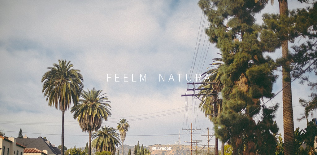 Feelm Natura - Analog Filters 