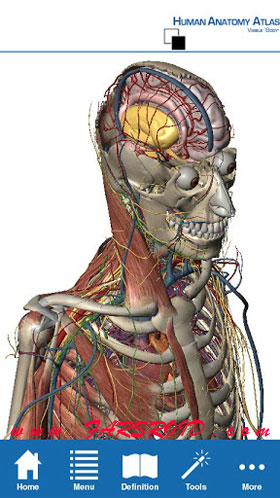 Download Human Anatomy Atlas Android