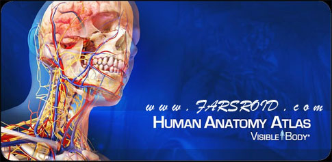 Download Human Anatomy Atlas - Android Body Anatomy Atlas