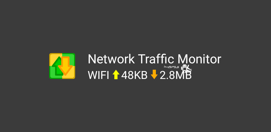 Network Traffic Monitor Pro 