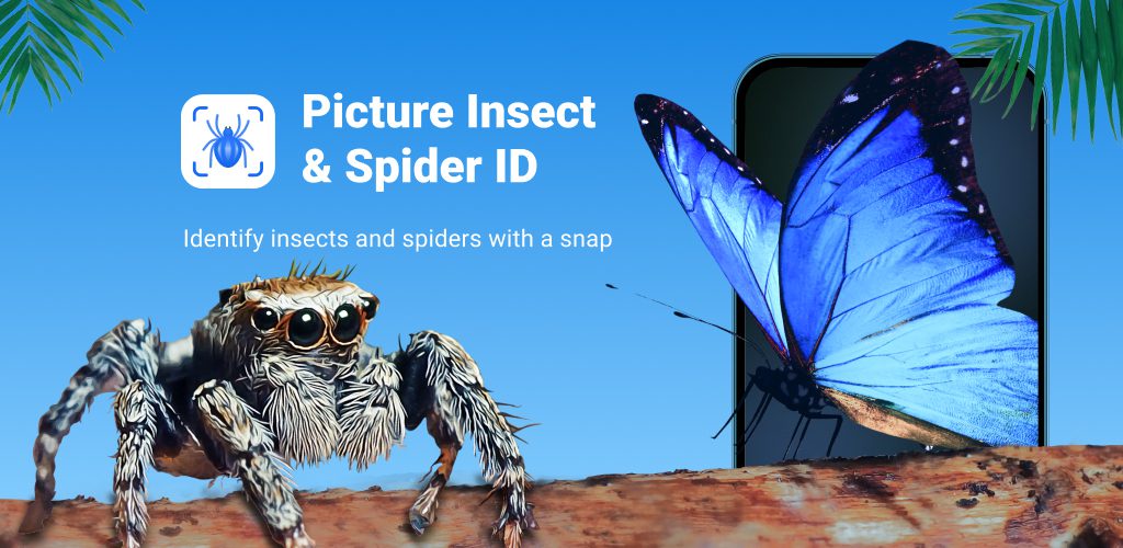 Picture Insect - Bug Identifier