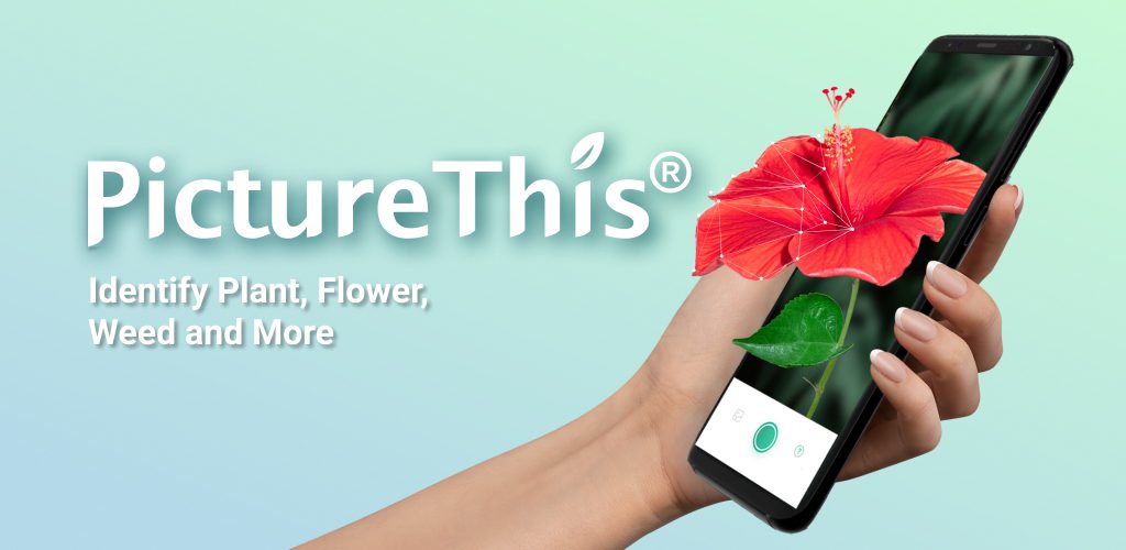 PictureThis Identify Plant, Flower, Weed and More Premium